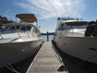 Pair of Yachts at Dock