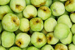 Apples Apples