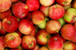 Apples