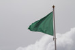 drapeau vert et ciel gris