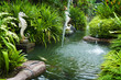 Tropical zen garden