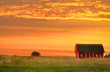 Farm landscape Farm landscape