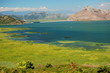 Foto: Landscape of Lake Skadarsko in Montenegro Landscape of Lake Skadarsko in Montenegro