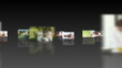 montage with families portraits
