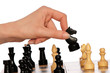 playing chess