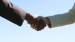 Two businesspeople shaking hands - multi cultural