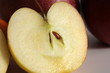 fruits