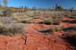 Foto: Australische Wüste Australische Wüste