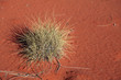 Foto: Australische Wüste Australische Wüste