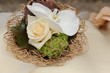 Mariage - Aliances