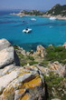 mare