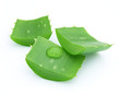 Foto: Close-up of aloe vera Close-up of aloe vera