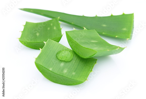 Photo: Aloe vera Aloe vera