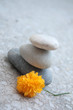 Spa stones