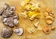 Plateau de champignons, éperviers,chanterelles,lactaires Plateau de champignons, éperviers,chanterelles,lactaires