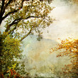 Illustration: painted autumn painted autumn