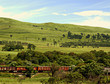Freight train