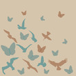 birds, butterflies background birds, butterflies background