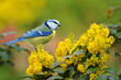 Frühling 130.1