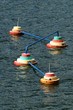 Plots sur l'eau