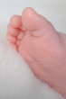 Petit pied