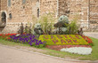 Landscaped Garden