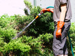 Working watering garden from hose