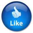 LIKE Web Button (share internet e-mail friends social network)
