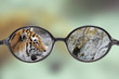 veiw throughf a glasses
