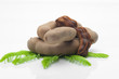 Tamarind-2