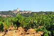 Vignoble de Châteauneuf du Pape Vignoble de Châteauneuf du Pape