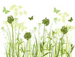 green grass background green grass background