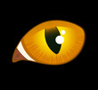 vector image of black cat eyes in darkness vector image of black cat eyes in darkness