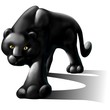 panter