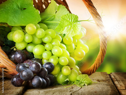Photo: Grapes in the basket.Grapevine over vineyard background Grapes in the basket.Grapevine over vineyard background