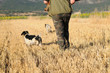 Cazador con sus perros
