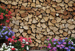 catasta di legno
