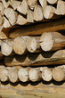 catasta di legno