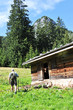 Almhütte