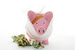 bandaged piggy bank with cash bandaged piggy bank with cash