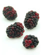 Blackberry Blackberry