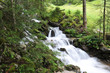 Bachlauf