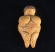 Woman of Willendorf, a Fertility Idol