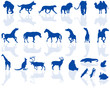 Animal silhouettes