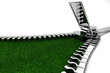 Illustration: cremallera en hierba cremallera en hierba