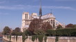 Notre Dame de Paris view