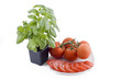 Fresh basil and plate of tomatos