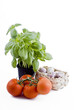 fresh vegetables - basil, tomatoes, garlic basket