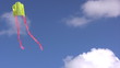 Kite flying in a summer sky Kite flying in a summer sky
