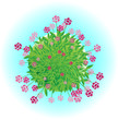 Flowers planet